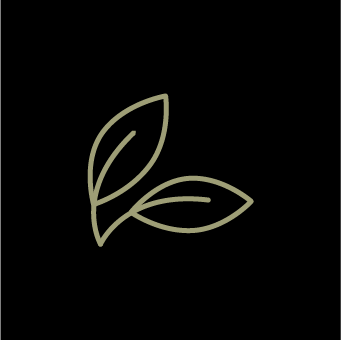 L2501842 Brasserie Hanz Vers (1)